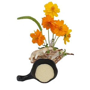 Natural halal gelatin powder Bovine food grade gelatin Low price