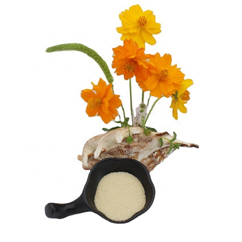Natural halal gelatin powder Bovine food grade gelatin Low price